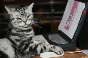 米兰体育APP-意甲超燃对决：传控、突破、射门精彩纷呈，意甲传奇门将