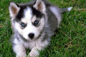 米兰体育APP-俱乐部财务风控体系不健全，财务风险控制体系不够完善