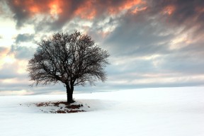 西班牙青年队在欧洲赛场持续表现出色