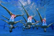国际帆船公开赛：环保办赛与竞技水平并举提升口碑，国际帆船大赛
