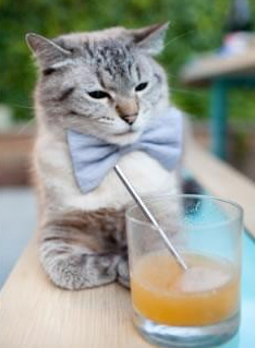 中国三人女篮战术配合日益成熟,中国三人女篮百度百科