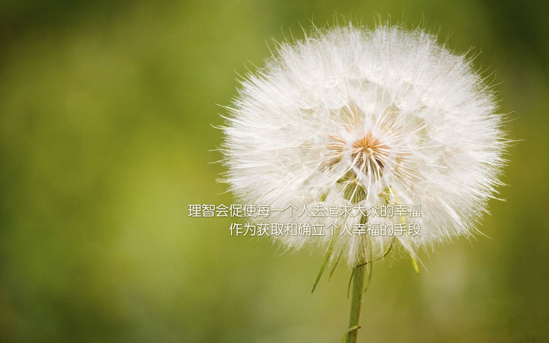 五大联赛是否利用中卫长传精准度打破对方高位站位，五大联赛中场排行