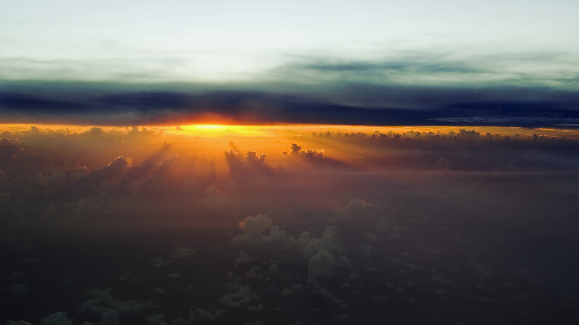 体育明星自建品牌体校尝试多元合作，自创体育品牌