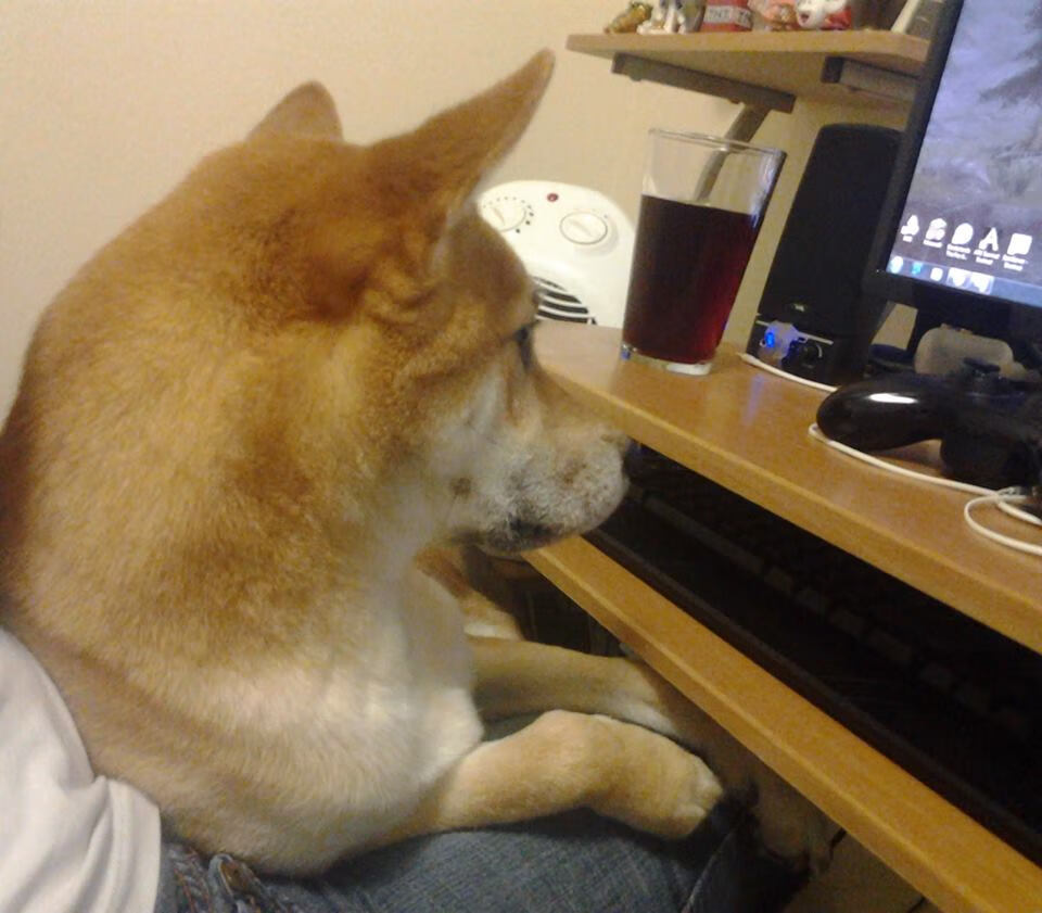 印度赛制深度剖析:打造本土球员的全球竞争力,印度参赛