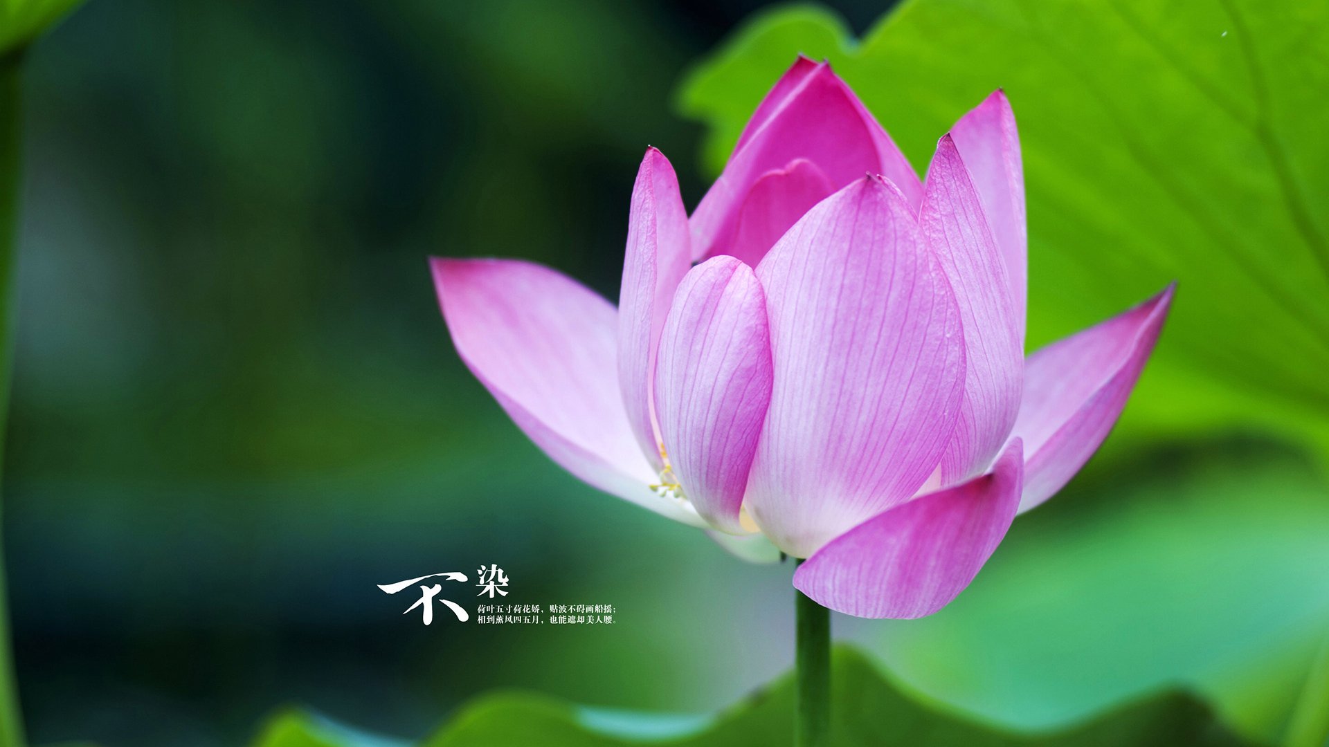 国际热身赛中国女足战平 球迷对新教练寄予厚望，2021女国足