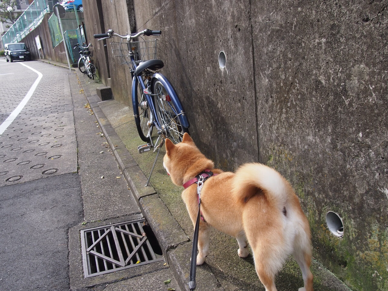 巴塞罗那边路突破成为制胜关键，巴塞罗那站位