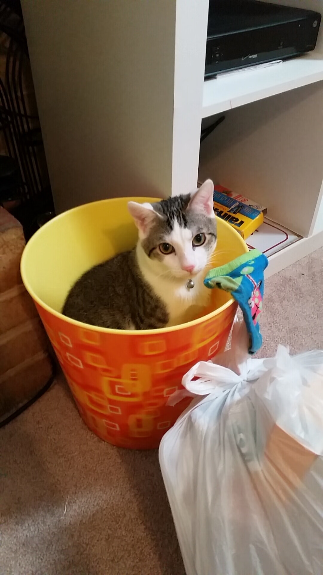 控球后卫如何提升传球的迷惑性,控球后卫传球技巧