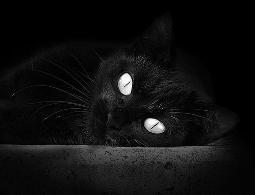 皇马锋线新组合展现惊人效率，皇马巅峰中场