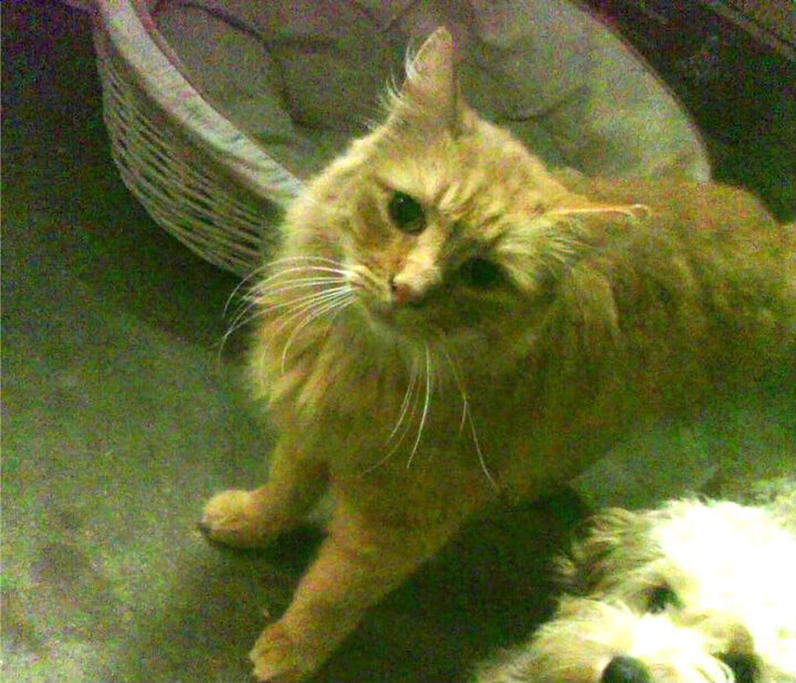 维拉替补登场改变场上节奏打破僵局，维拉 首发