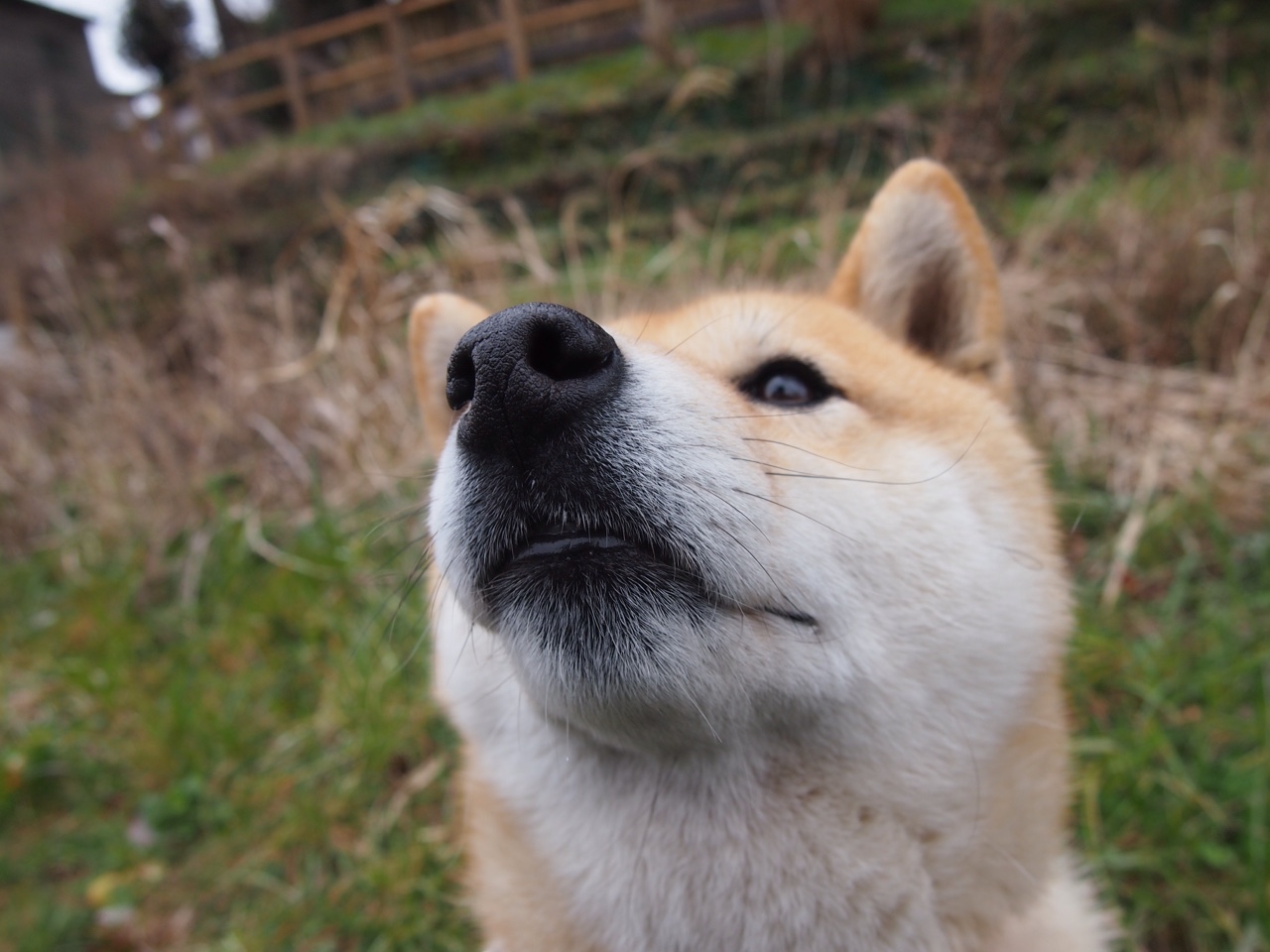 曹缘展现强大心理素质与赛场韧性，冠军专访曹缘